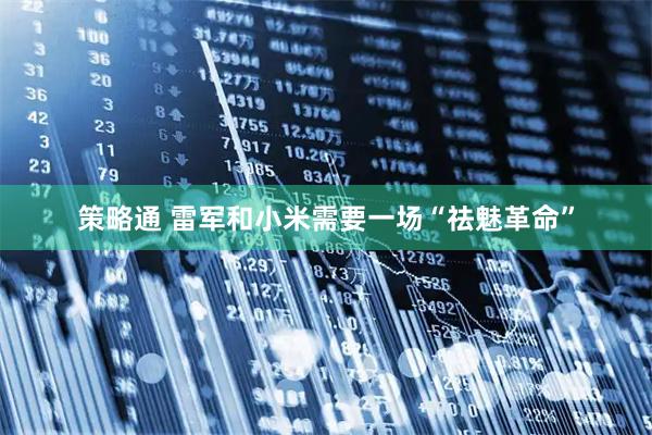 策略通 雷军和小米需要一场“祛魅革命”