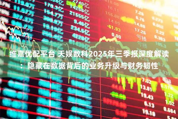 维嘉优配平台 天娱数科2025年三季报深度解读：隐藏在数据背后的业务升级与财务韧性