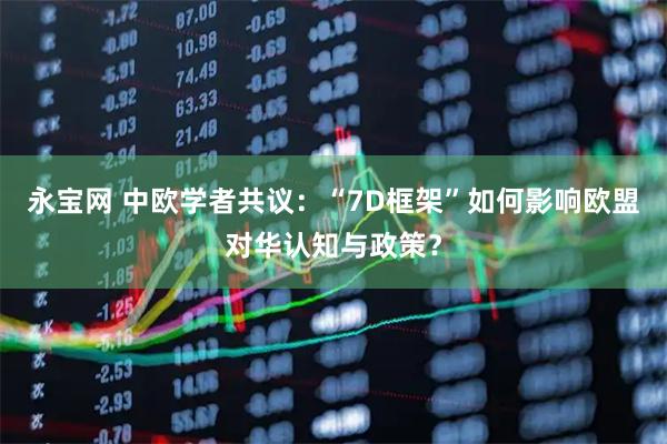 永宝网 中欧学者共议：“7D框架”如何影响欧盟对华认知与政策？